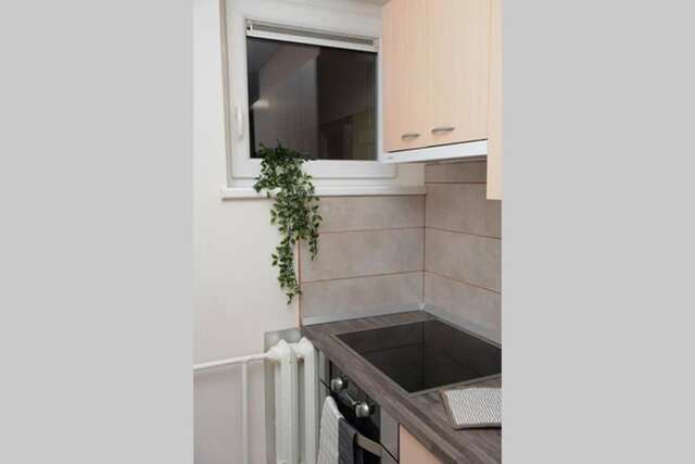 Апартаменты Danutės apartamentai Паланга-27